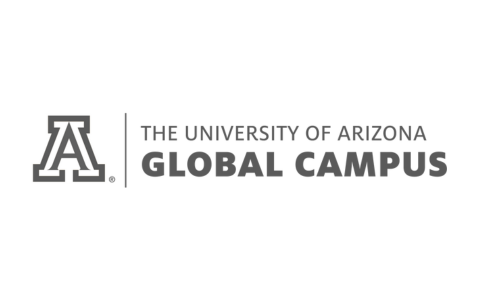 The University of Arizona
